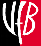 VfB Villingen 1920 e.V.